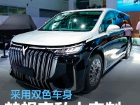 岚图梦想家私人定制版将于粤港澳车展上市 采用双色车身