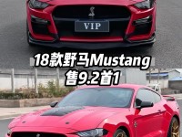 2025款坦克300将3月10日上市