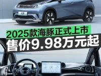 2025款比亚迪海豚正式上市 售价9.98万元起