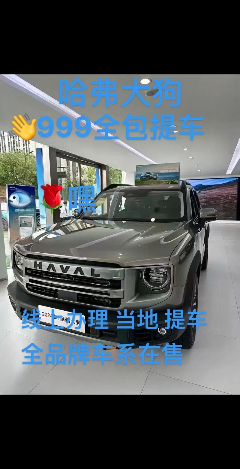 11.99万元起售 哈弗大狗店内有现车销售