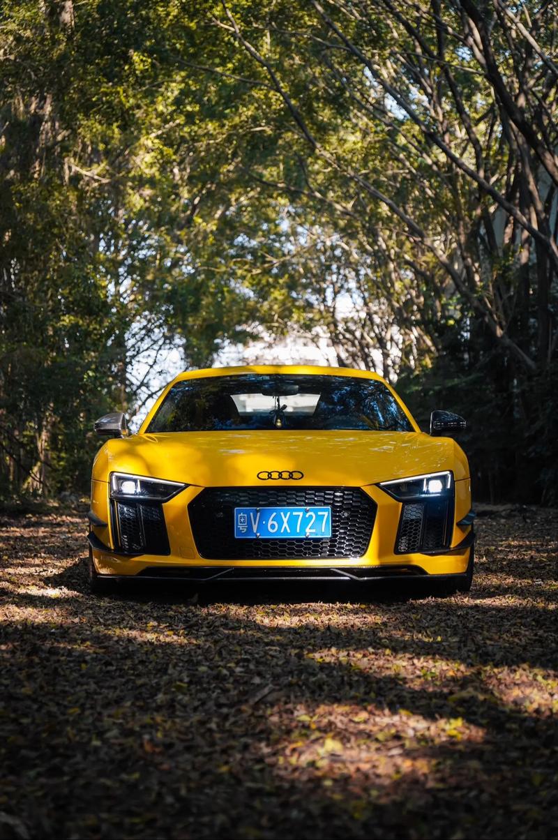 16款奥迪R8 V10 Coupé Performance现车最低多少钱配置详解